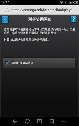 Flash Player Settings標準版