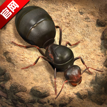 小小蟻國2025手游