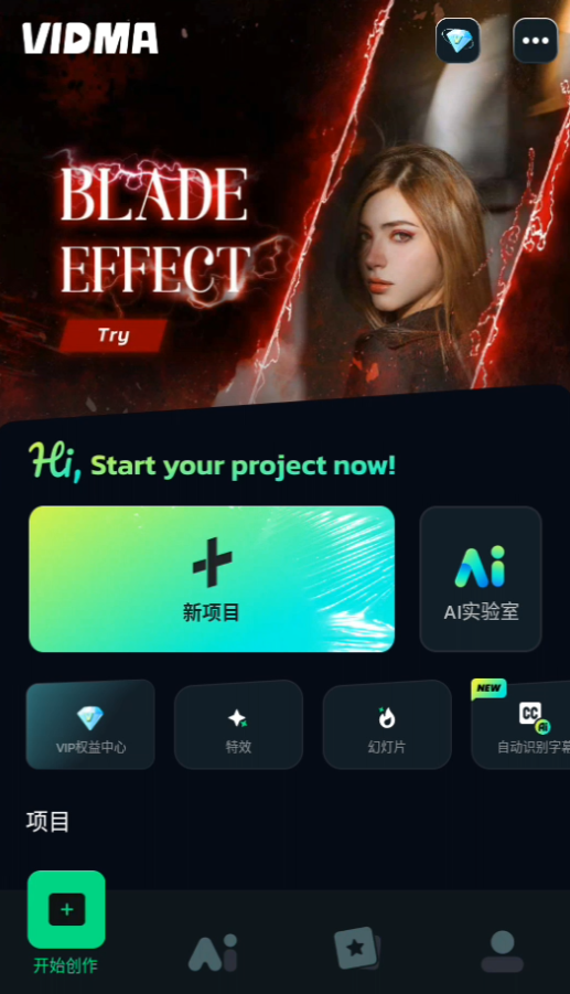 Vidma Editor
