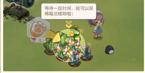 奧比島:夢想國度周年版