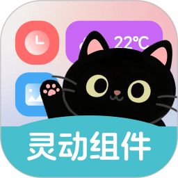 靈動皮膚小組件