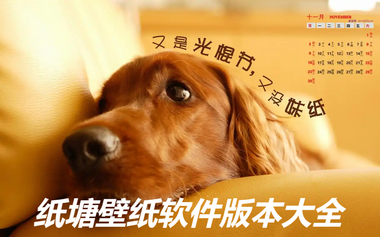 紙?zhí)帘诩埲堪姹竞霞?紙?zhí)帘诩埌姹敬笕?紙?zhí)帘诩埫赓M(fèi)版/專業(yè)版/安卓版
