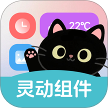 靈動皮膚小組件