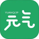 元?dú)怄I盤(pán)皮膚
