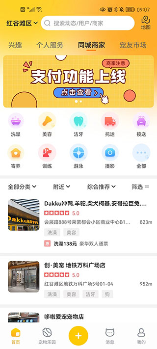寵胖胖