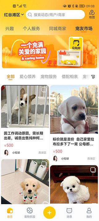 寵胖胖