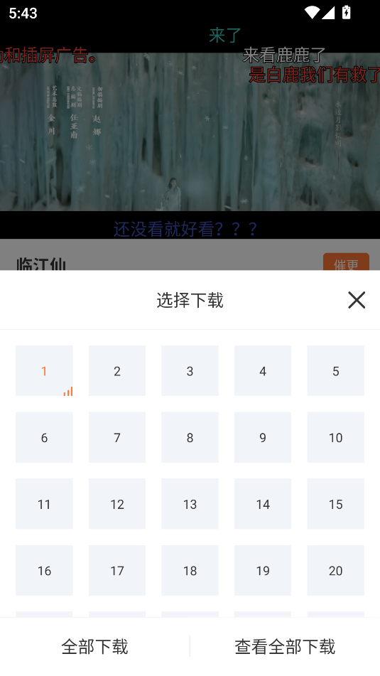 白天鵝