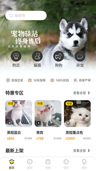買只寵物