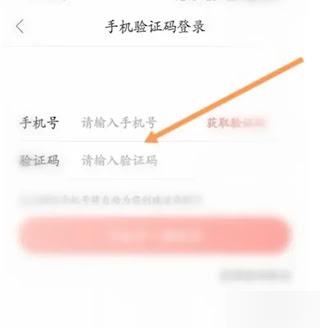 波奇寵物
