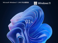 win11專業(yè)精簡(jiǎn)版鏡像下載 | Windows11 24H2 64位